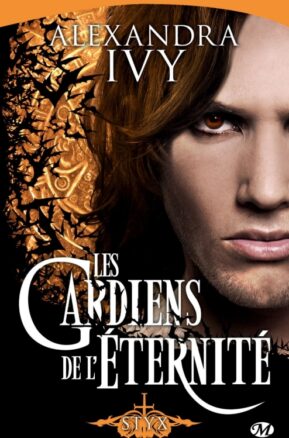 Résumé de Les Gardiens de l'éternité, tome 03 : Styx