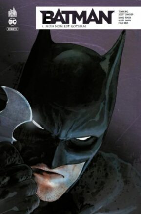 Résumé de Batman Rebirth, tome 01 : Mon nom est Gotham