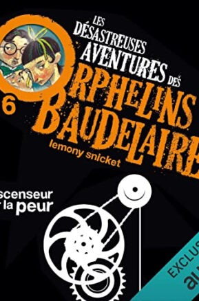 Résumé de Les désastreuses aventures des orphelins Baudelaire, tome 06 : Ascenseur pour la peur
