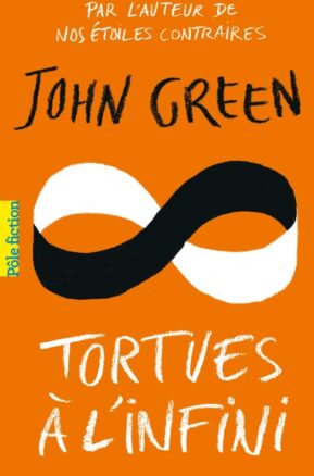 Résumé de Tortues à l'infini