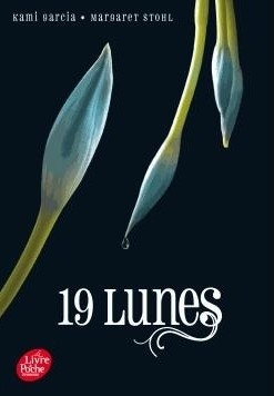 Résumé de Chroniques des enchanteurs, tome 4 : 19 lunes