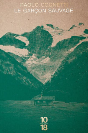 Résumé de Le garçon sauvage : Carnet de montagne / Le garçon sauvage