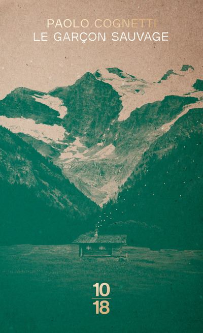 Résumé de Le garçon sauvage : Carnet de montagne / Le garçon sauvage