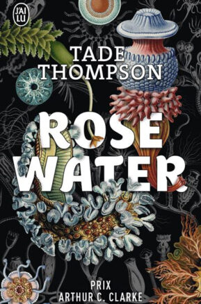 Résumé de Rosewater