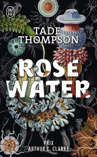 Résumé de Rosewater