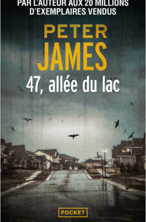 Résumé de La maison des oubliés, tome 2 : 47, allée du lac