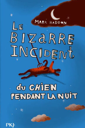 Résumé de Le Bizarre Incident du chien pendant la nuit