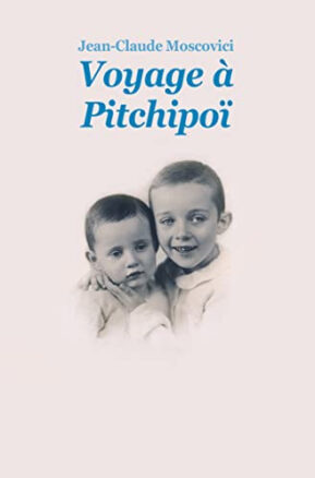 Résumé de Voyage à Pitchipoï