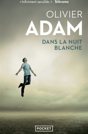 Résumé de Dans la nuit blanche