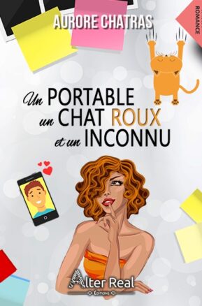 Résumé de Un portable, un chat roux et un inconnu