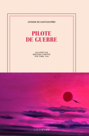 Résumé de Pilote de guerre