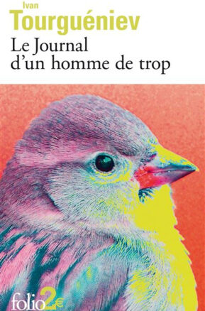 Résumé de Le journal d'un homme de trop