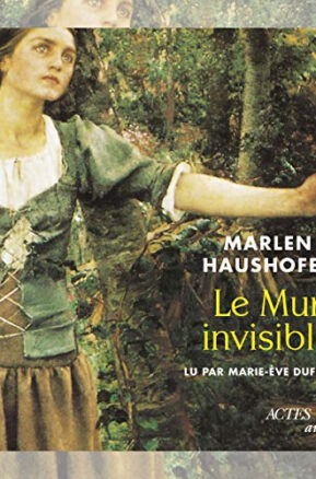 Résumé de Le mur invisible