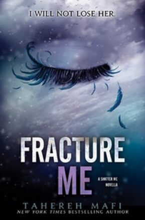 Résumé de Insaisissable, saison 1, tome 2.5 : Fracture me