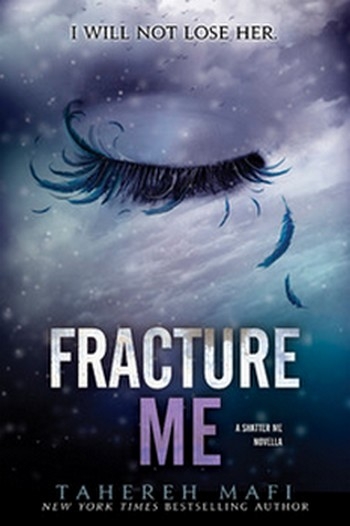 Résumé de Insaisissable, saison 1, tome 2.5 : Fracture me