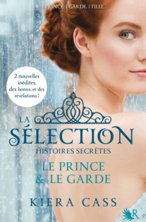 Résumé de La sélection, Histoires secrètes : Le prince et le garde