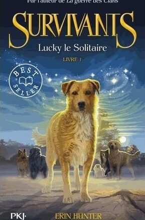 Résumé de Survivants, cycle 1, tome 1 : Lucky le Solitaire