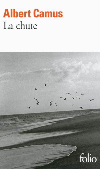 Résumé de La chute