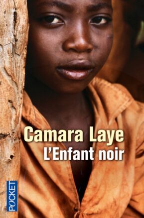 Résumé de L'enfant noir