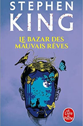 Résumé de Le bazar des mauvais rêves