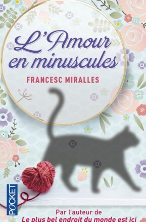 Résumé de L'amour en minuscules
