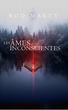 Résumé de Les Âmes Inconscientes