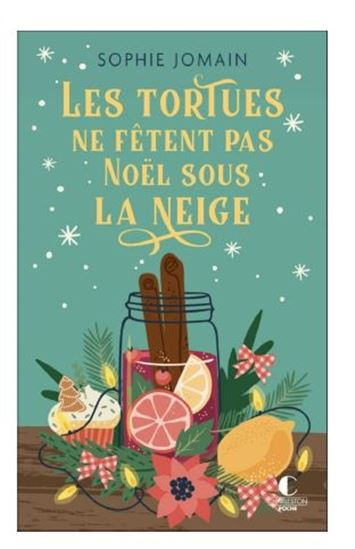 Résumé de Les tortues ne fêtent pas Noël sous la neige
