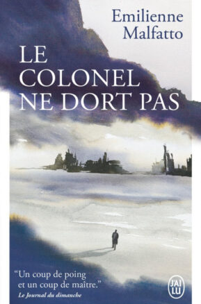 Résumé de Le colonel ne dort pas