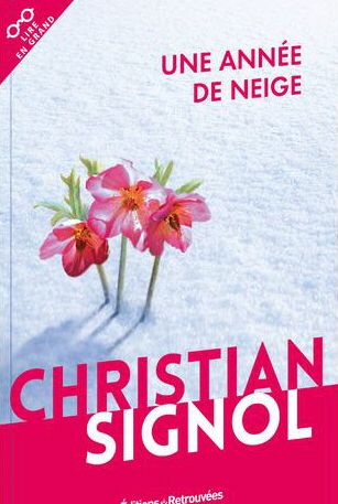 Résumé de Une année de neige